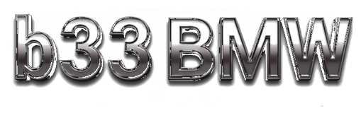 b33bmw logo